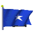 Bonnie Blue Flag